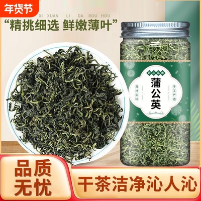 正品野生蒲公英茶罐装特级