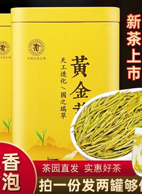 正宗2025年新茶黄金芽茶叶绿茶明前特级礼盒装散装高山吉安白茶