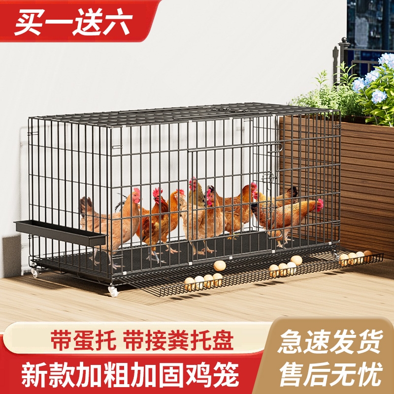 鸡笼子家用养殖笼下蛋养鸡笼自动滚蛋大号特大号鸡窝折叠鸡笼超大