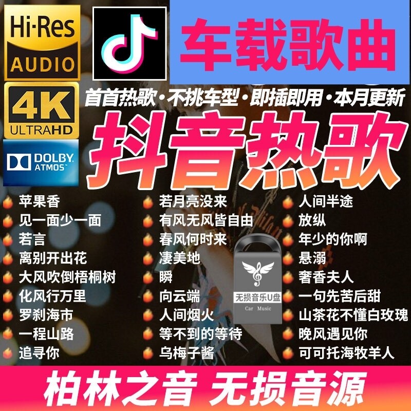汽车载u盘歌曲抖音新款榜经典dj无损mp3音乐优盘粤语音响高音质图片