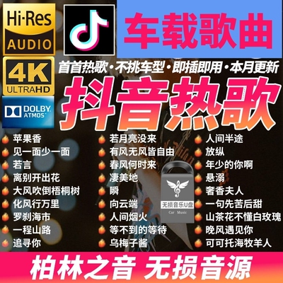 汽车载u盘歌曲抖音新款榜经典dj无损mp3音乐优盘粤语音响高音质