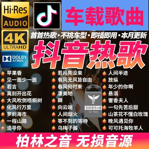 汽车载u盘歌曲抖音新款热歌榜经典dj无损高品质mp3音乐优盘粤语