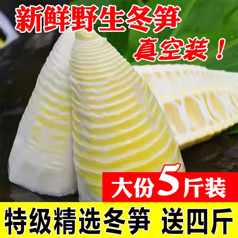 冬笋新鲜野生竹笋楠竹笋春笋火锅蔬菜袋装5斤整箱商用批发