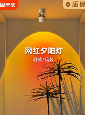 网红明装夕阳红射灯玄关画走廊过道背景氛围可调角度嵌入式落日灯