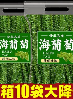 海葡萄即食盐渍海带新鲜海洋蔬菜绿色鱼子酱海藻菜送蘸酱网红爆款