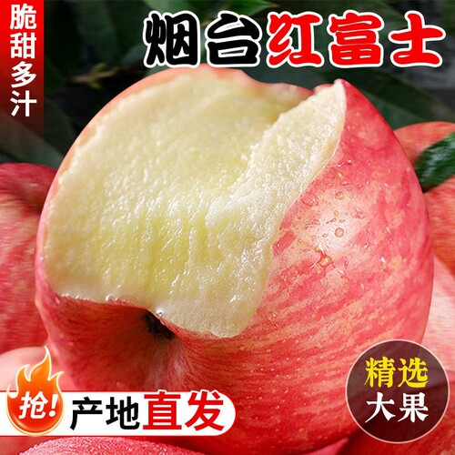 正宗山东烟台苹果红富士应季新鲜水果脆甜产地直发批发包邮糖心