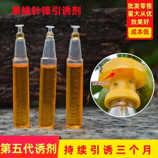 果实蝇引诱剂针蜂诱捕器专用液棉芯棒杀粘瓜锋食蝇果蝇信息素药水