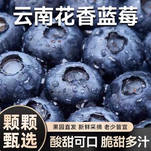包邮 孕妇高端整箱怡颗L25高山 新鲜水果空运 云南花香蓝莓现摘当季