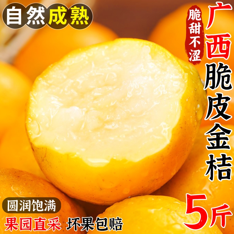 广西脆皮金桔当季新鲜整箱甜