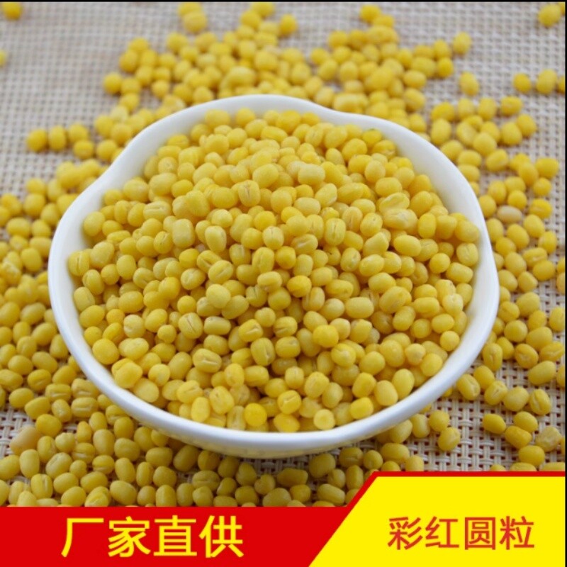 大黄米新米正宗黏粘糯黄小米5斤小米粥P东北山西特产包粽子的黍子