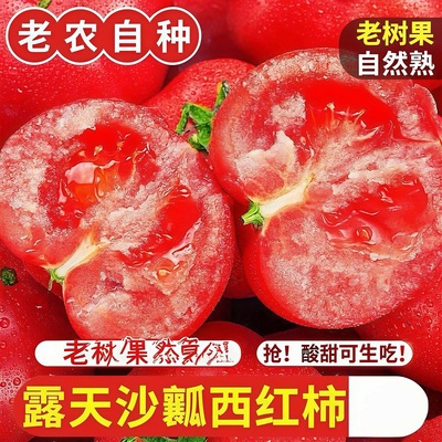 正宗沙瓤西红柿新鲜自然熟番茄当季水果整箱蔬菜非铁皮柿