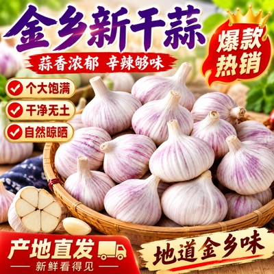 金乡足干紫皮大蒜新干蒜无坏瓣精选大蒜头农家自种优质食用干蒜