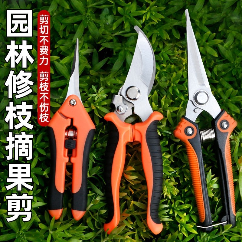 家用修枝剪果树专用剪子鲜花图片