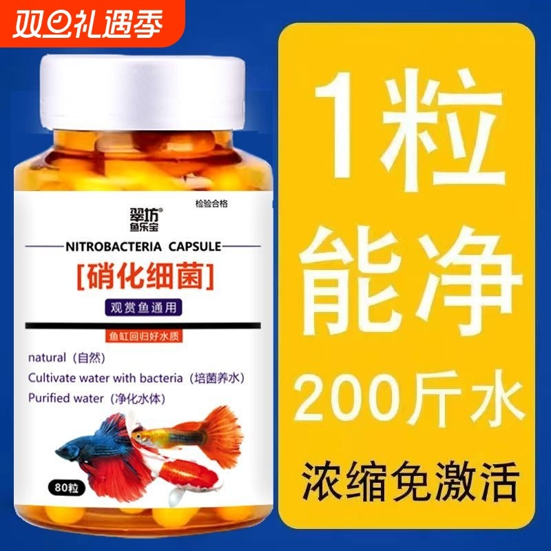 鱼缸浓缩硝化细菌胶囊鱼缸清澈净化水质养水养鱼用品水质清澈净水