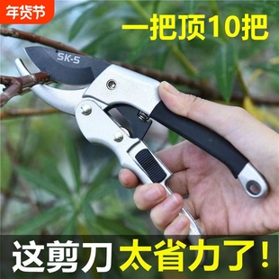 园艺剪刀树枝修剪修枝剪摘花椒神器摘果神器果树修剪刀粗枝剪摘枣