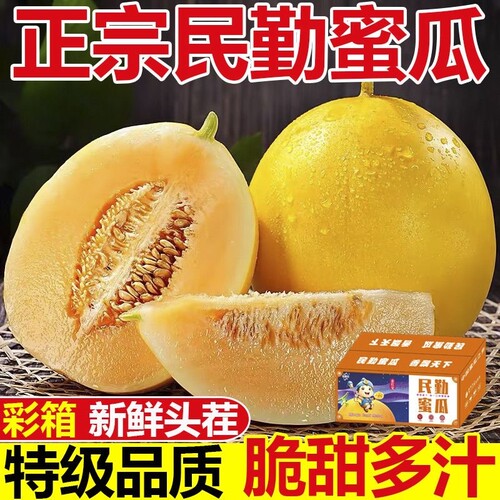 甘肃民勤蜜瓜现摘现发甜瓜新鲜水果陕西金红宝整箱哈密瓜香瓜包邮