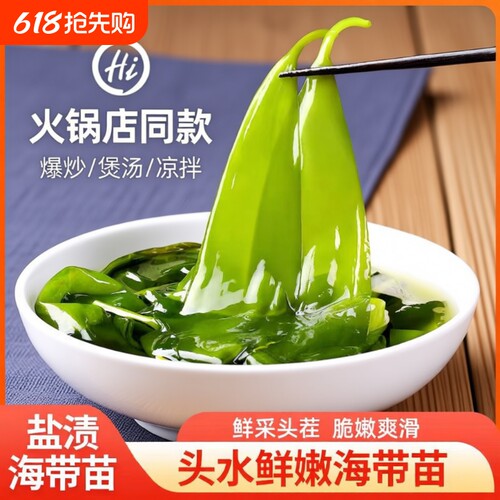 新鲜海带嫩苗爽脆火锅菜凉拌菜