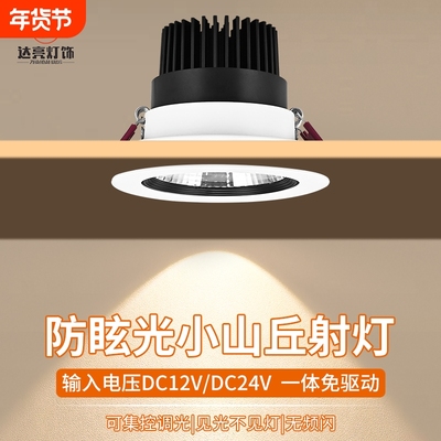 低压12V24V高亮聚光COB射灯