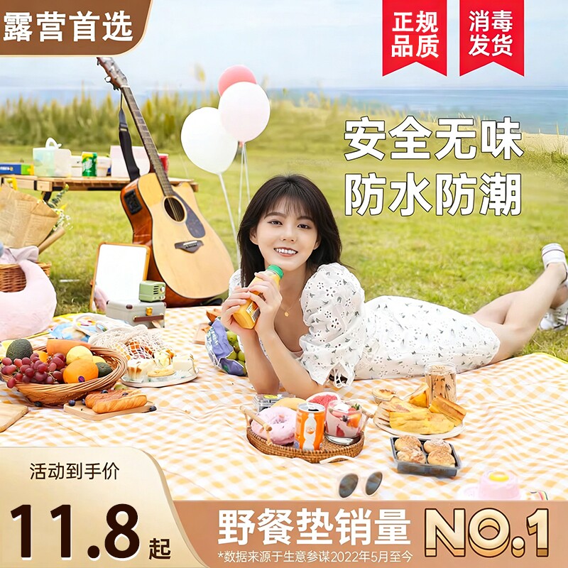 野餐垫防潮垫加厚户外露营地垫野外防水布便携帐篷草坪垫子防潮布