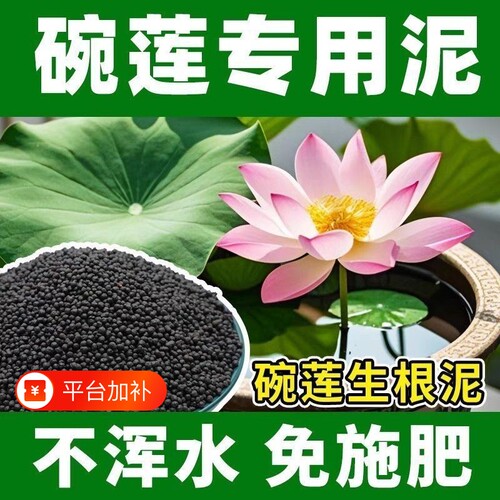 碗莲专用泥睡莲专用土荷花泥生态鱼缸水草泥水藻泥水培陶粒荷塘泥