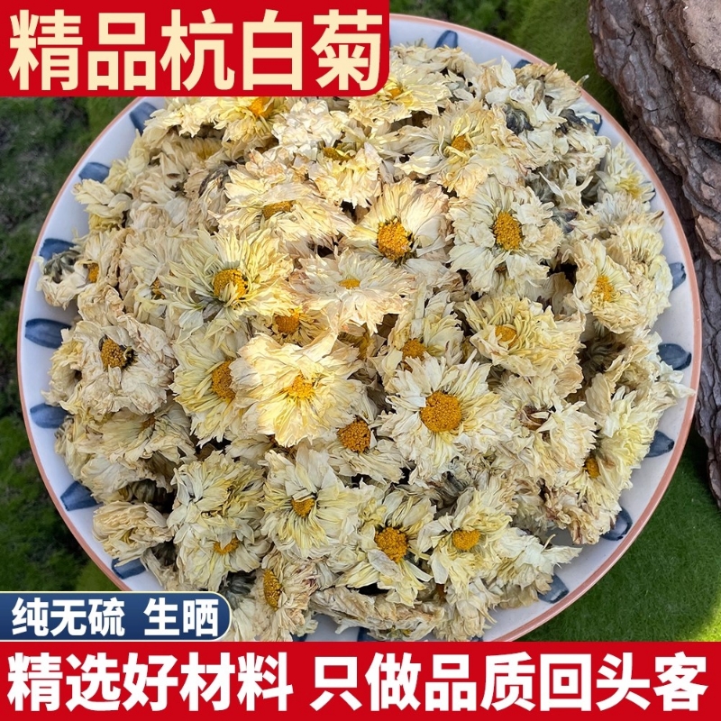 菊花茶正宗桐乡菊花茶杭白菊杭菊花胎菊花贡菊花可搭配枸杞决明子