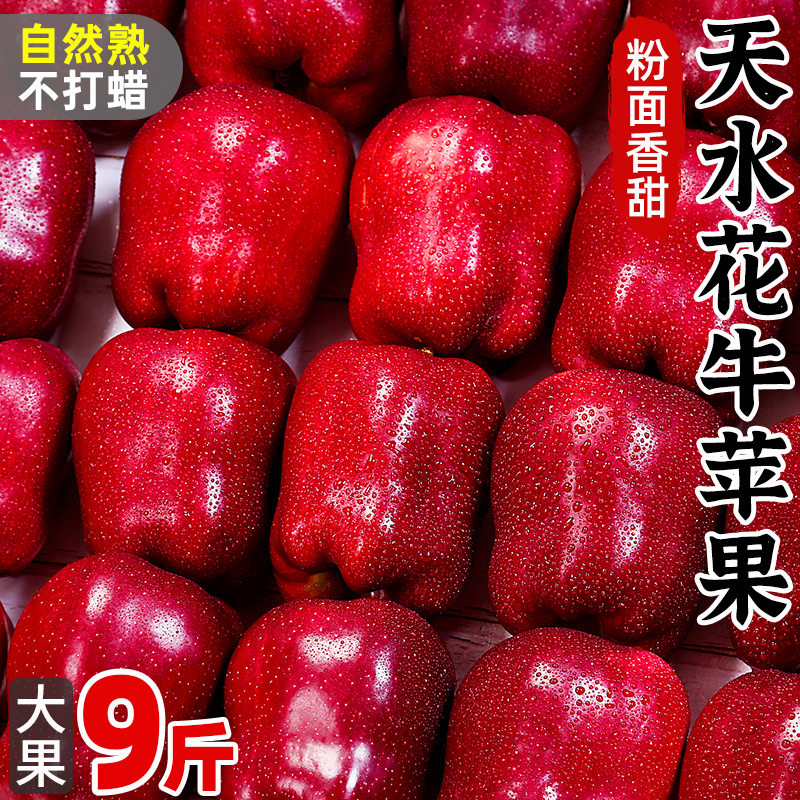 甘肃天水花牛苹果9斤新鲜当季水果红蛇粉面丑平安圣诞果整箱包邮,水产肉类/新鲜蔬果/熟食,苹果,淘宝优惠券,粉丝福利购,淘宝优惠卷