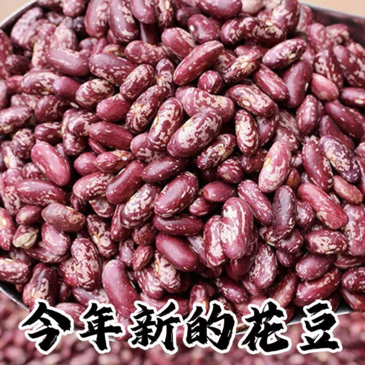 贵州紫花豆花芸豆红豆饭豆新豆煮粥五谷杂粮四季豆红花豆新货