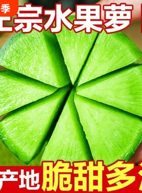 正宗潍县萝卜水果萝卜甜脆清脆爽口季四季青皮绿萝卜沙窝新鲜