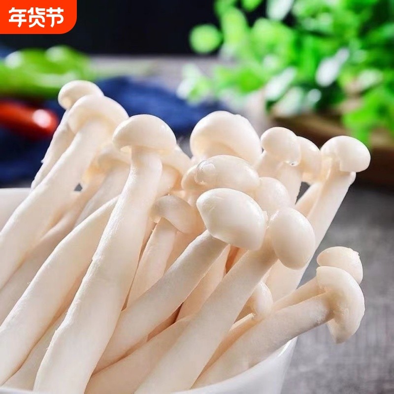 白玉菇菌包蘑菇种植包阳台种植菌种家庭室内菌棒菌菇食用菌海鲜菇