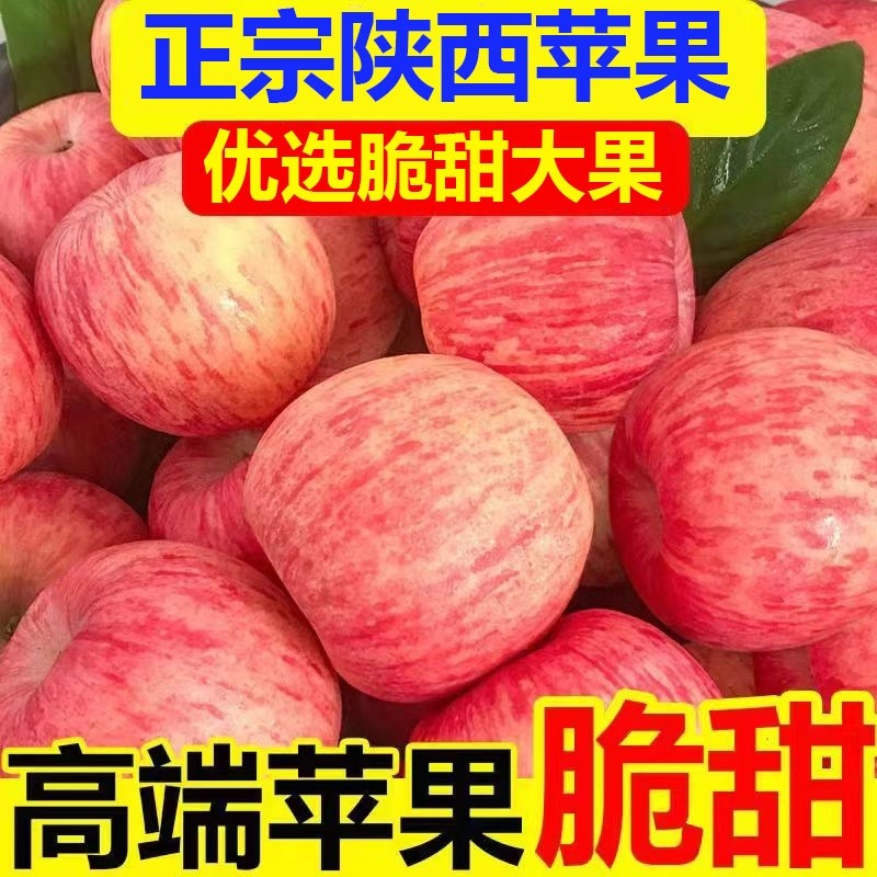 当季水果新鲜红富士苹果脆甜冰糖心正宗陕西膜袋丑苹果包邮整箱,水产肉类/新鲜蔬果/熟食,苹果,淘宝优惠券,粉丝福利购,淘宝优惠卷