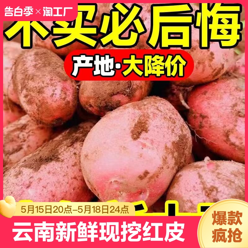 云南新鲜现挖红皮黄心粉糯土豆整箱9/5斤现挖马铃薯洋芋红皮土豆