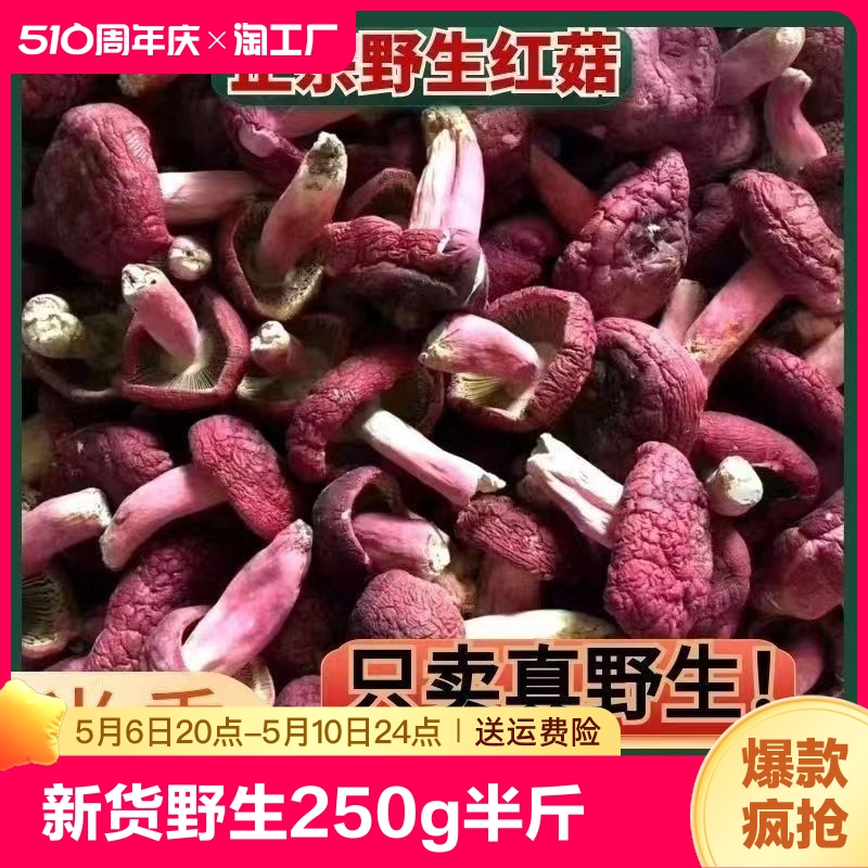 新货野生红菇干货250g