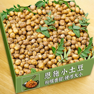 恩施小土豆新鲜马铃薯洋芋粉糯高山洋芋小土豆当季 蔬菜