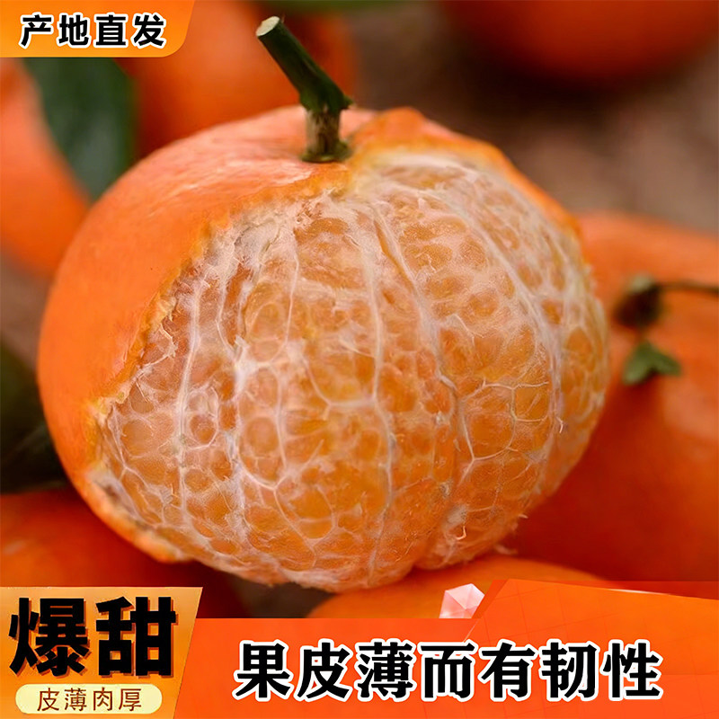 ��ժͷ�羫ѡ�ָ��д����԰ֱ�������ָ̰��ʳ���֭ϸ������ 4.5�� ����������� 60-65mm ��ѡ�Լ۱� 16.91Ԫ