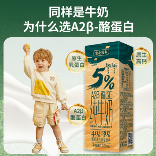 宁夏塞北牧乡A2β酪蛋白4.0纯牛奶学生儿童纯牛奶200mlx2盒