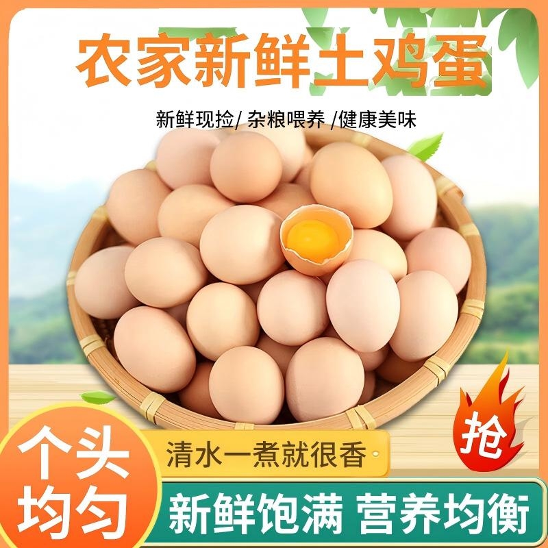 正宗土鸡蛋散养林下土鸡蛋现捡营养笨鸡蛋新鲜精选农场直发