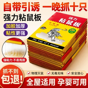 粘鼠板老鼠贴超强力粘大老鼠家用捕鼠抓鼠神器老鼠板沾胶2026热销