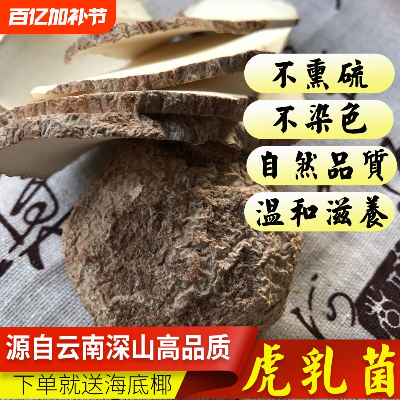虎乳菌正品虎奶菌云南正宗虎奶菇片灵芝野外生长新货干货煲汤泡水