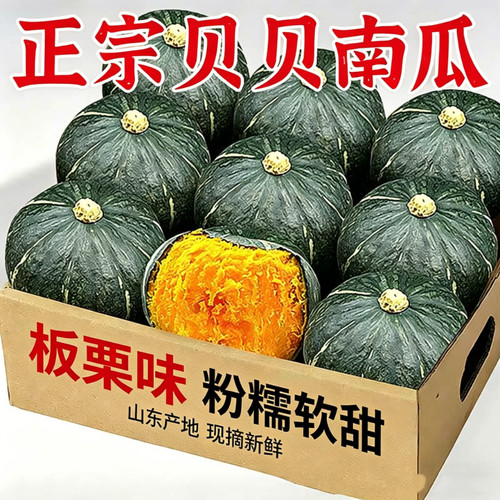 贝贝南瓜宝宝辅食板栗味小南瓜新鲜蔬菜迷你南瓜粉糯香甜老南瓜