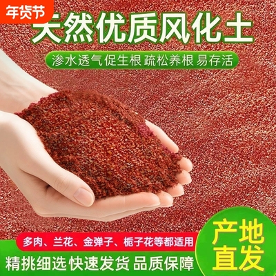 天然酸性金弹子兰花多肉风化土