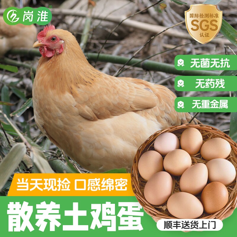 正宗紫蓬山农家散养土鸡蛋乌鸡蛋农户走地鸡蛋新鲜柴笨草顺丰60枚