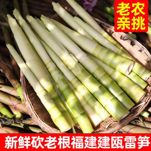 正宗福建建瓯现挖农家春笋