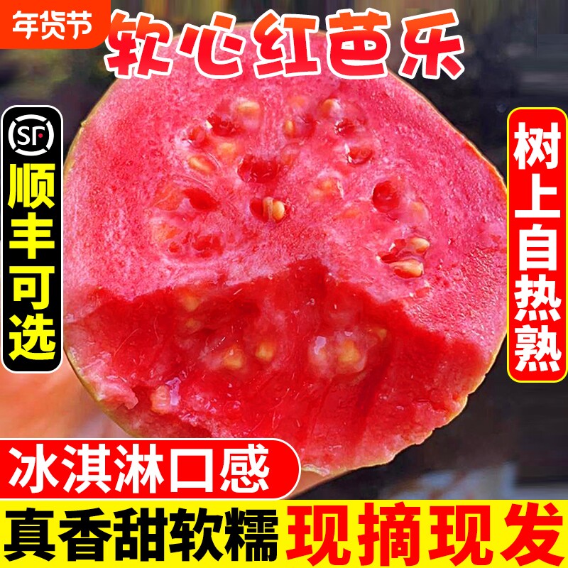 广西软糯整箱芭乐新鲜水果番石榴脆甜胭脂红巴乐红心软心年货节