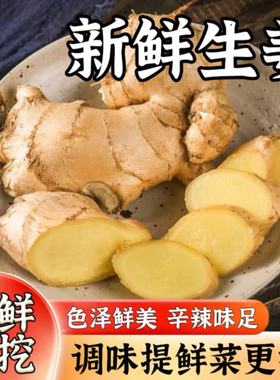 正宗山东生姜大姜新鲜农家黄姜月子干姜农家种植姜块