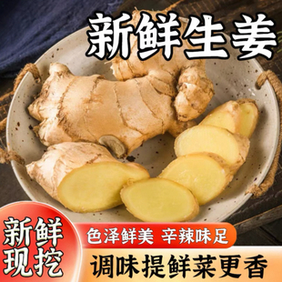 正宗山东生姜大姜新鲜农家黄姜月子干姜农家种植姜块