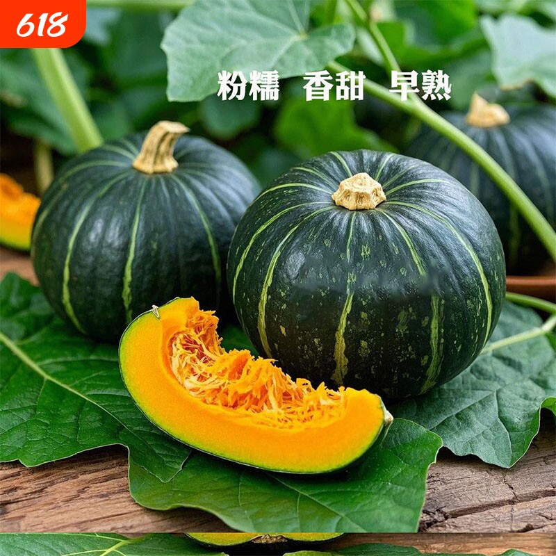 正宗贝贝南瓜甜板栗小南瓜四季蔬菜软糯香甜贝贝瓜