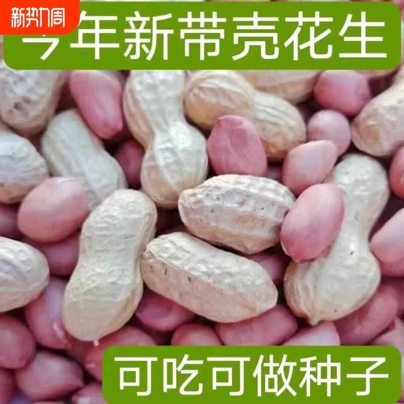 带壳生花生新货薄壳原味皮花生晒干新鲜小花生米水煮做种袋装健康