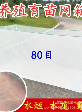 养鱼网箱存鱼箱加厚80目养殖网水蛭水花鱼苗黄鳝锦鲤孵化育苗网箱