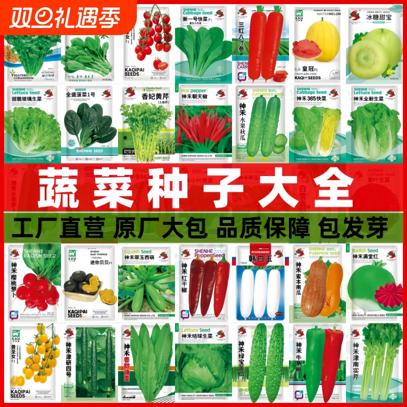 蔬菜种子四季播辣椒西瓜籽孑香菜春季蔬菜大全菠菜白菜四季豆阳台