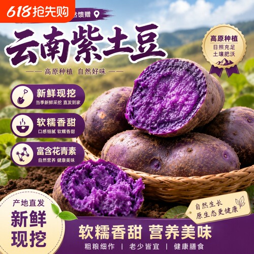 云南紫土豆大果3kg现挖紫黑土豆紫马铃薯富含花青素软糯早餐